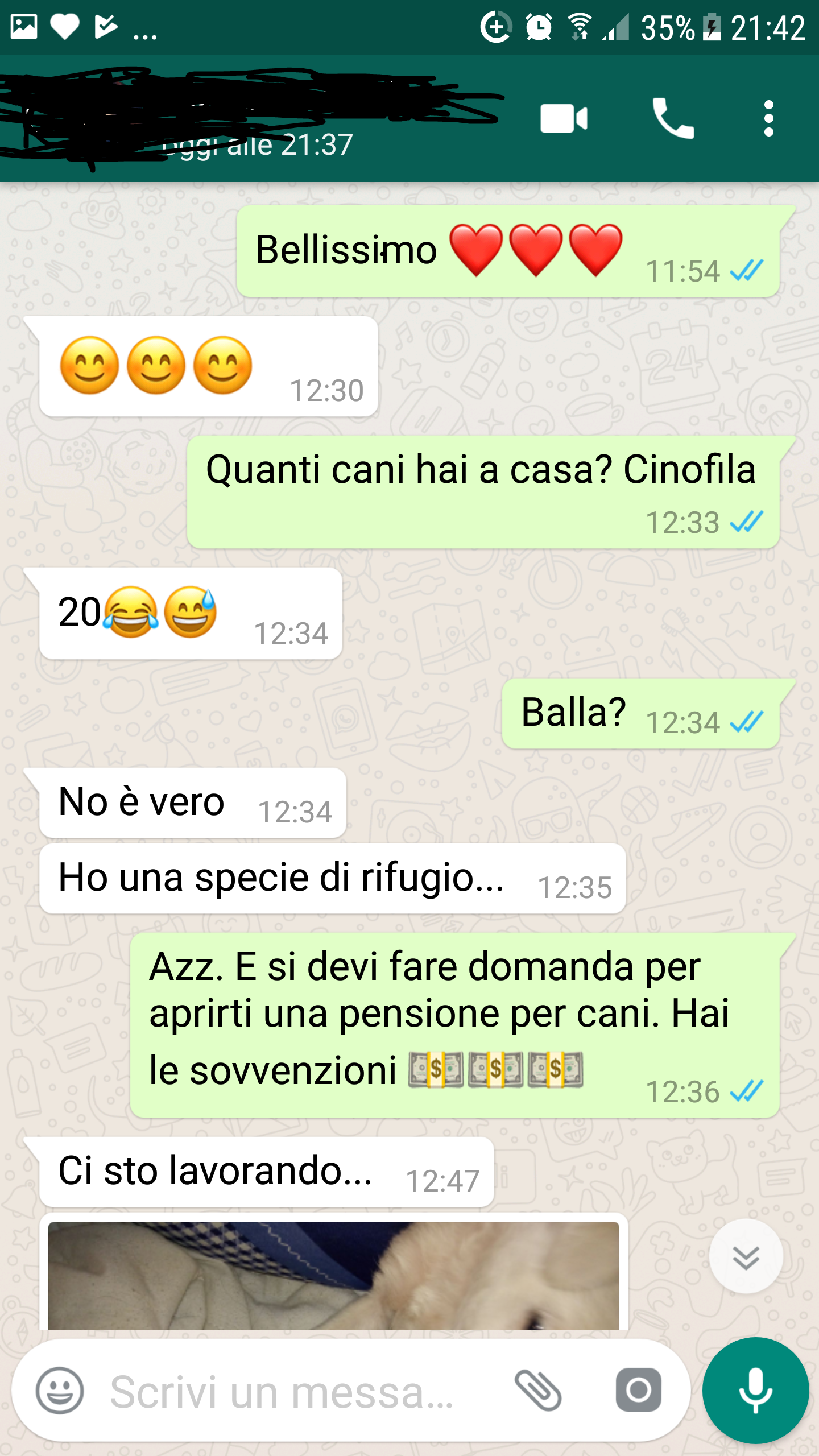 Chat Per Far Ingelosire Un Ragazzo