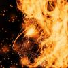 Fire_Leon