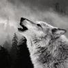 Fenrir