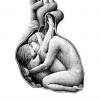 smart_enzyme