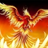 phoenix.99