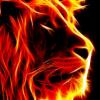 Lion89
