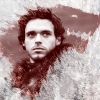 Robb Stark