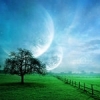 Dreamer